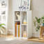 Axlan 2-Tier 3-Cube Open Bookcase, Small Bookshelf with Shelf, Storage Organizer for Home Office, Living Room-232132654