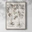 Sépia Besler Botanicals V, reproduction encadrée - bois massif-1576058802