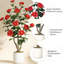 Plant-1898309019