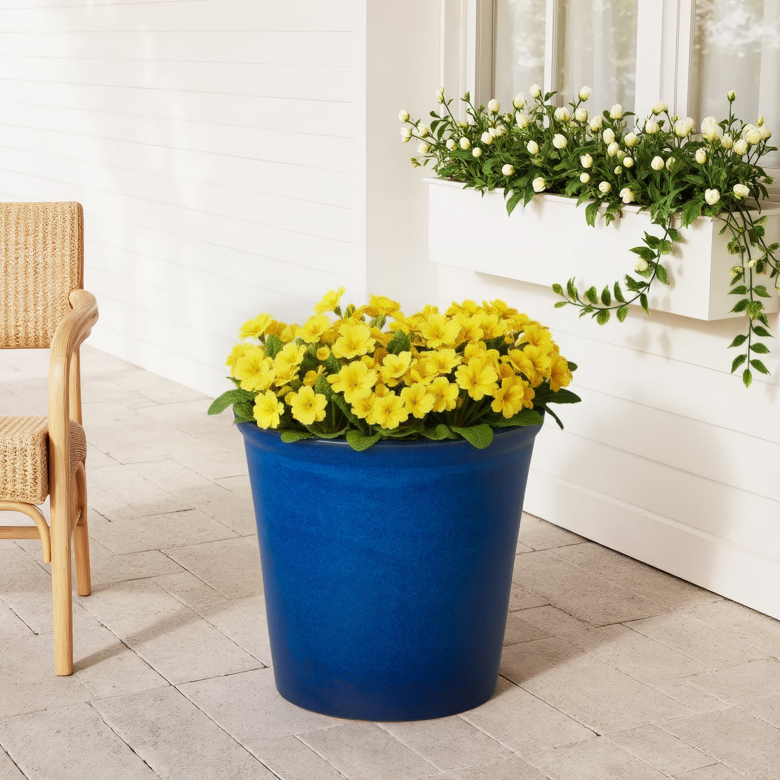 Roselinda Ceramic Pot Planter, 12" H x 13" W x 13" D