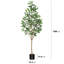 Ficus artificiel Adcock en pot avec des feuilles réalistes et un tronc naturel-2082728121