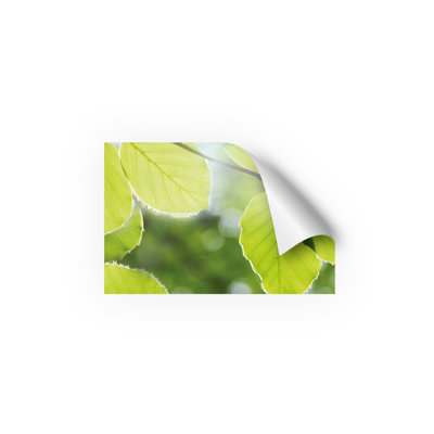 Souders 60cm W x 90cm L PVC Peel and Stick Panel
