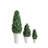 Round Preserved Boxwood Cone Topiary in Distressed Clay Pot-847220949