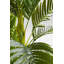 Deco Plant Palm Tree 190cm