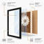 Daisy Stem Botanical - Framed Print-1166145792-1166145798