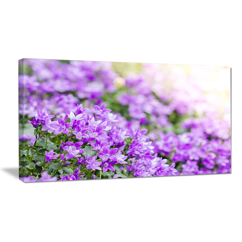 " Beautiful Campanula Flower Bouquet ", 28" H x 60" W