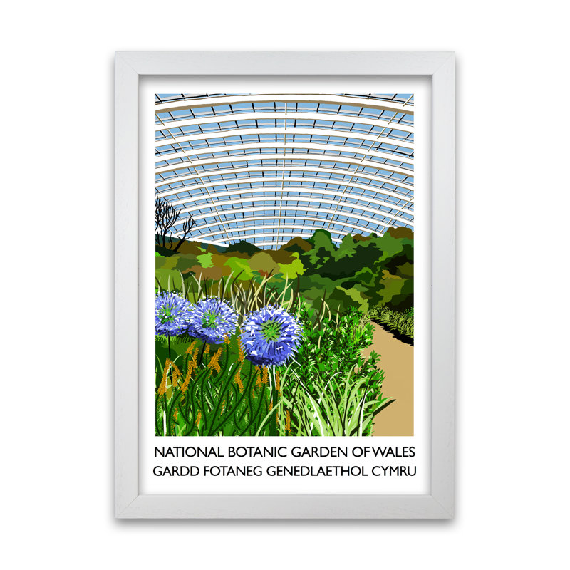 National Botanic Garden Of Wales by Richard O'Neill - Single Picture Frame Print, 84.1 cm H x 59.4 cm W, White