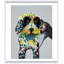 Dottie