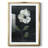 Salazar -Gallery Wrapped Canvas