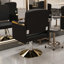 Chaise de salon hydraulique pivotante à 360 ° (paquet simple)