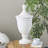 Cidni Ceramic Fluted Urn Shaped Decorative Jars with Lid-1718773497-1718921354