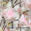 HOMCOM 6ft Cherry Blossom Tree Light 450 LEDs Large Artificial Tree Pink