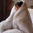 Love Thick® - Springtime Coma Inducer® Comforter Set-125152067-125152064
