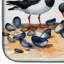 Tapis de séchage Oystercatchers