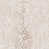 Truly Taupe