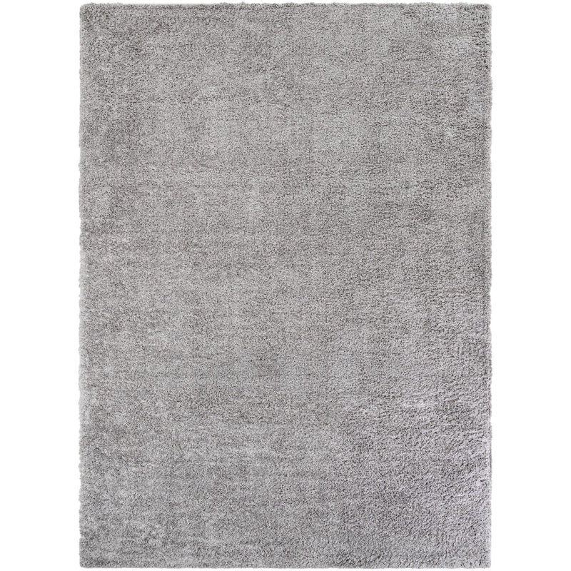 Tapis Frost Desandro, Rectangle 9 pi 6 po x 13 pi