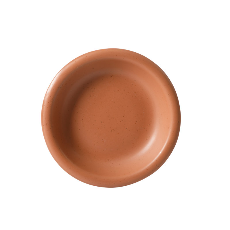 Bloomhouse Corcisa Clay 12 Piece Stoneware Reactive Glaze Dinnerware Set - Prosecco Blush Pink, Brown
