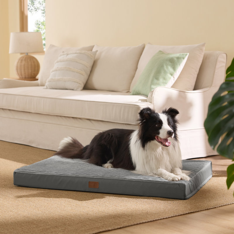 Lit pour chien ComfyFleece Cosy Crate, Café/crème, Très grand (H 3,3 po x l 41 po x P 27 po)