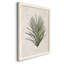 Palm Botanical I - Peinture sur toile encadrée-61358203-61358200