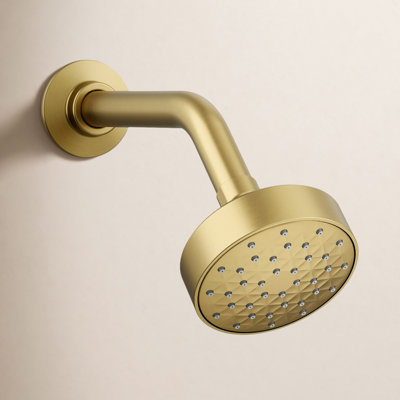 Awaken G90 Single-Function Fixed Shower Head