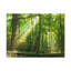 No Frame Print on Canvas-891454431
