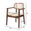 Chaises de salle à manger en PE avec assise rembourrée et structure en bois PE-118705390-125490483