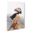 An Atlantic Puffin - Wrapped Canvas-56644393