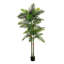 Arbre 96 po Robellini 96 po