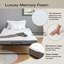Upholstered Bed with Mattress