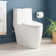 Toilette allongée une pièce Sitka