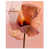 High-Gloss Acrylic Print is unavailable