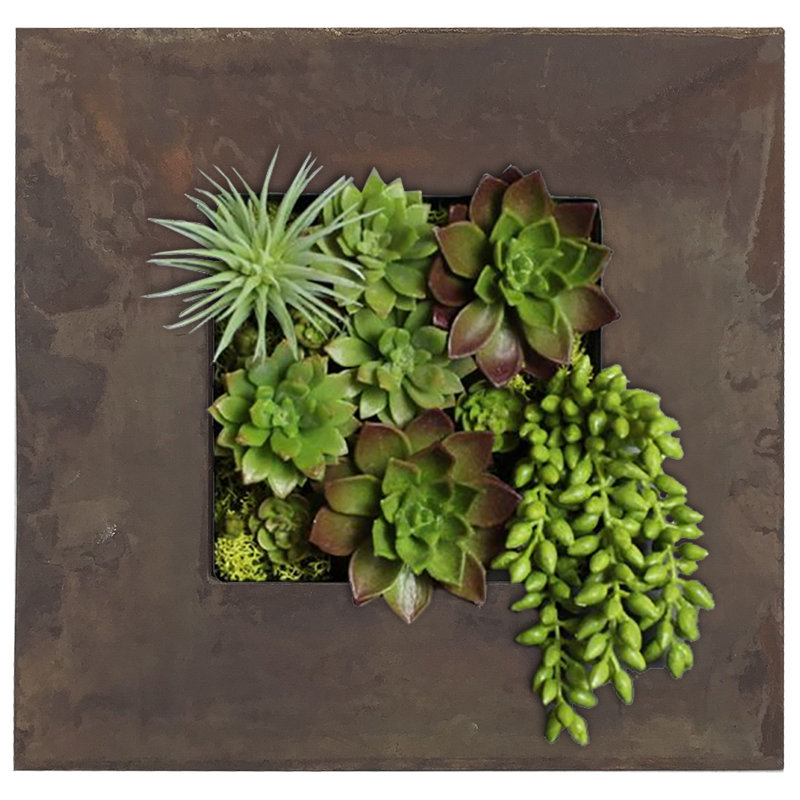 Pot de fleurs mural en acier Willamette, Zinc, rouille, H 14,2 po x l 14,2 po x P 3,63 po