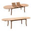 Marissa Outdoor 11 - Piece Teak Dining Set-1687687939-1687687938