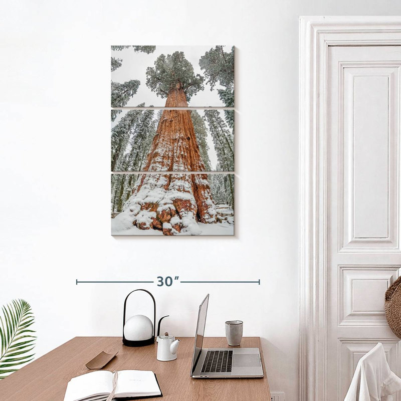 Harnek Wintry Sequoia Tree, 32" H x 20" W