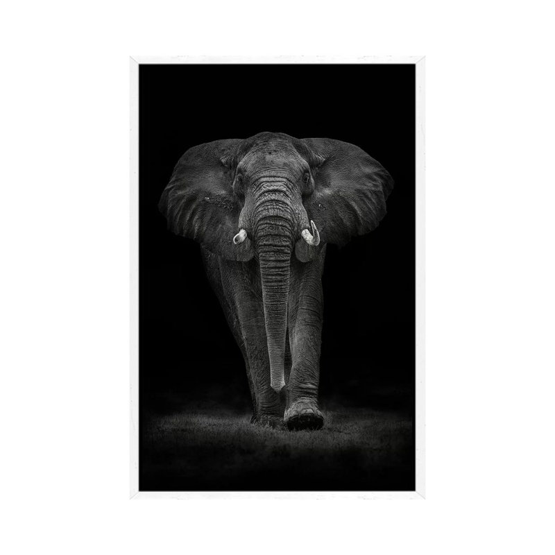 Ngorongoro Bull by Mario Moreno - Print on Canvas, 101.6cm H x 66.04cm W x 3.81cm D, White Floater Framed