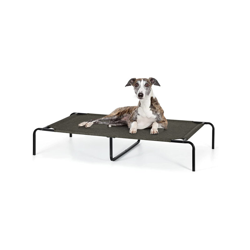 Botyo Polyester Pet Bed, Black