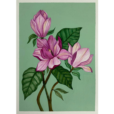 Magnolia Liliiflora | Aquarelle et gouache sur papier | Par Rashi Agrawal