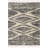 Espindola Shaggy Performance Tasseled Beige Area Rug-1753259219