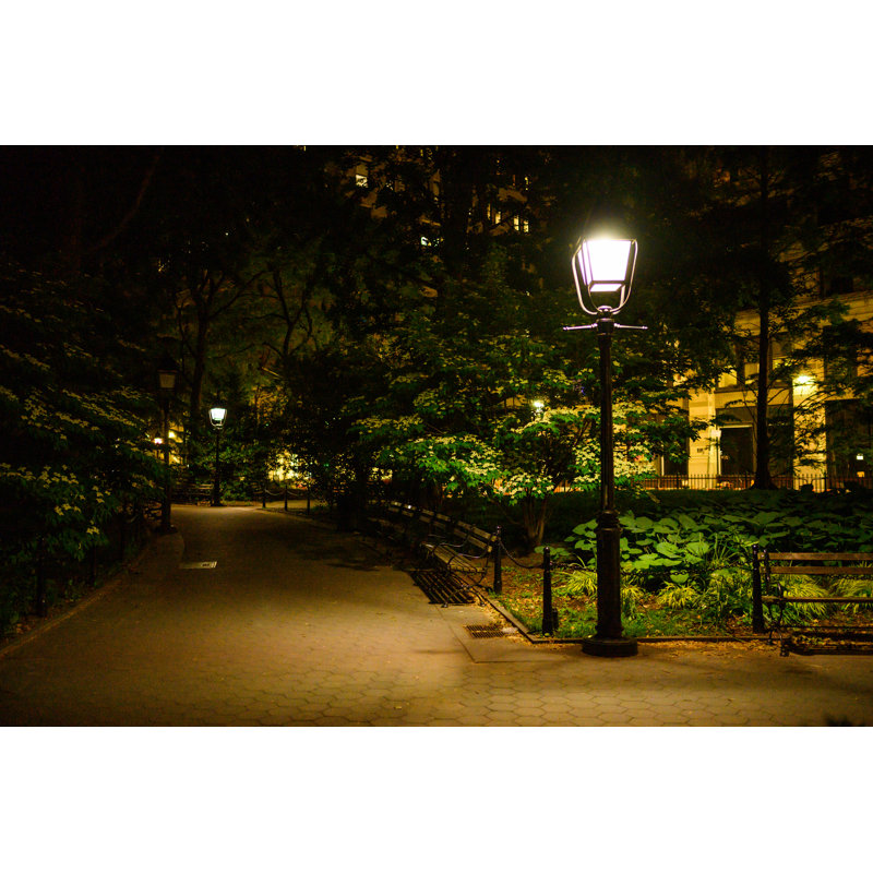 Washington Square Park Sidewalk par Boogich, H 24 po x l 36 po