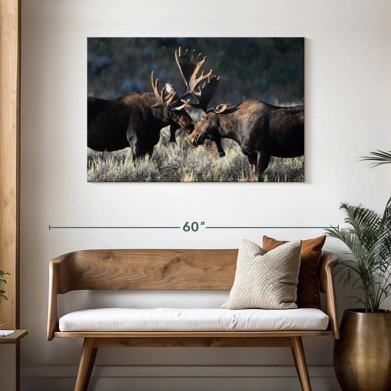 Orignal à Grand Teton, H 30 po x l 45 po