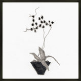 Orchid Study 2 Print by Simon Schneiderman