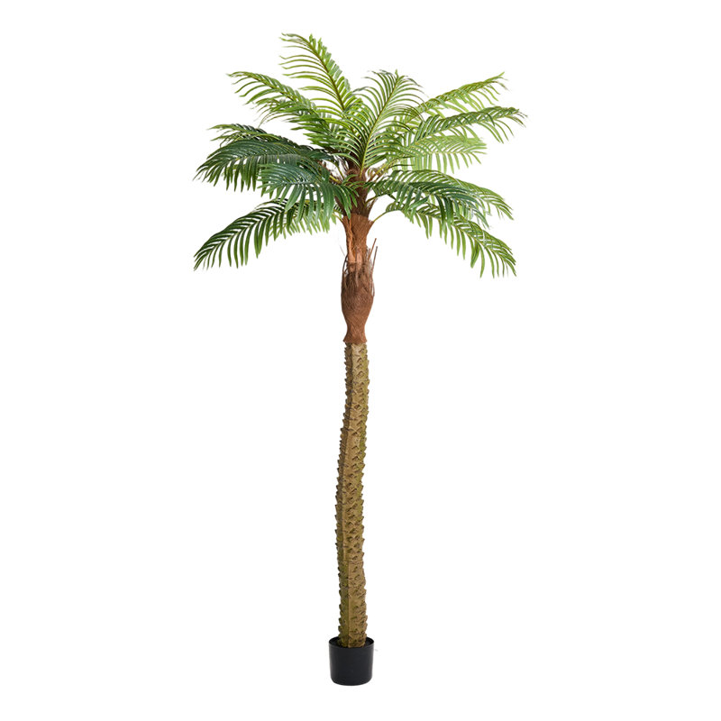 Faux Bonsai Tree in Pot, 230cm H x 106cm W x 106cm D