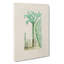 Cactus Illustration - Wrapped Canvas-55304425