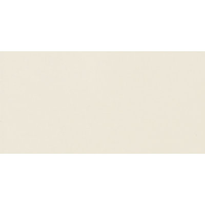 6'' L x 2'' W Tile Trim