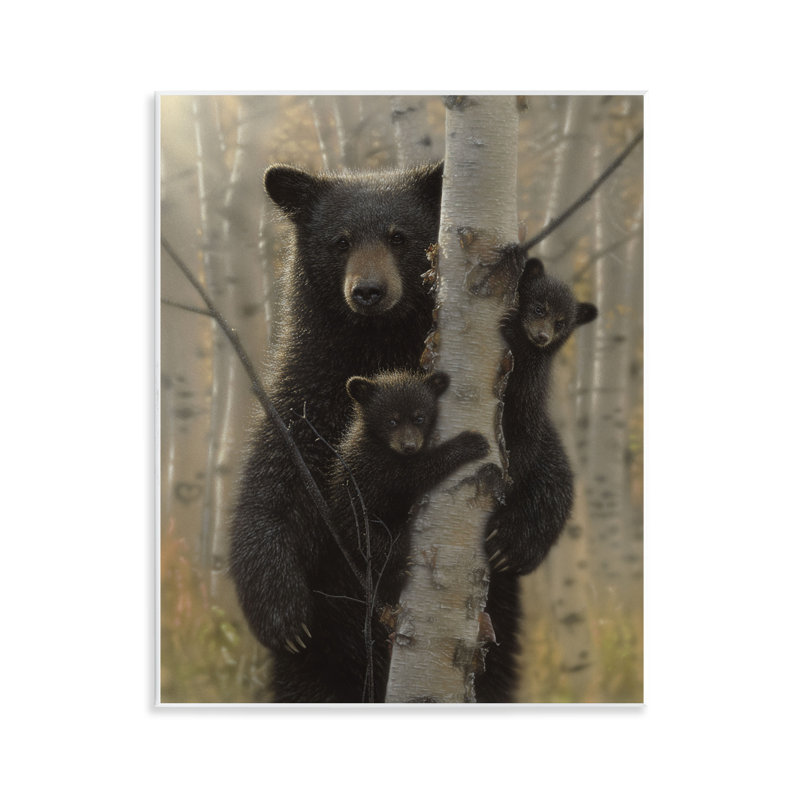 Mama Bear Behind Tree Wall Plaque, design by Collin Bogle