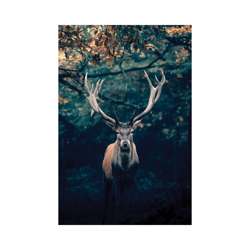 Deer 1 Piece Wrapped Canvas Wall Art