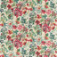 (Gaia) Positano/Tree Canopy/Tulip