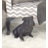 Mikkelson Polystone Sitting Bulldog Decorative Brown Sculpture-1817789897