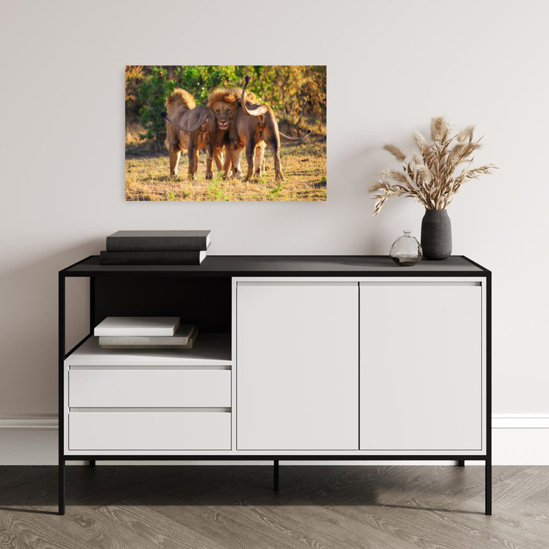 Majestic African Lions Abstract Contemporary Cat Lion Nature Wildlife Wall Art Print 1 Piece Wrapped Canvas Wall Art