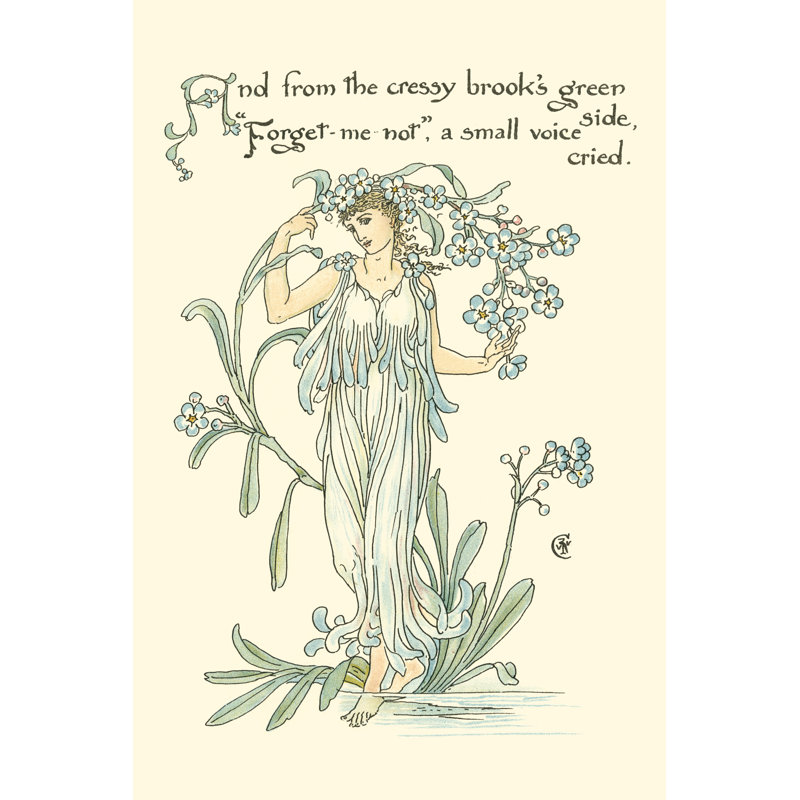 Shakespeares Garden VII (Forget Me - Wrapped Canvas Print, 46cm H x 30cm W x 3.8cm D